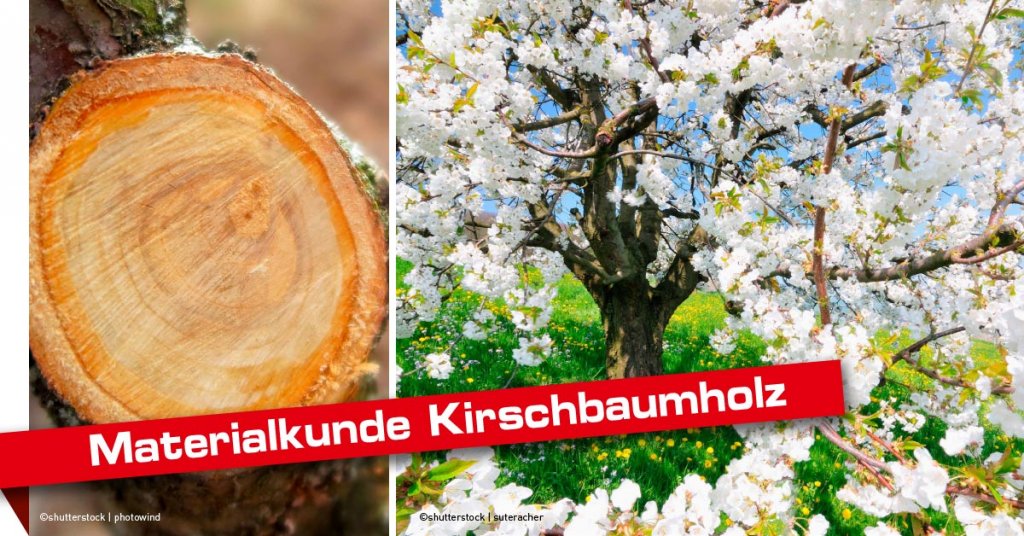 Faustmann Material Kirsche Kirschbaum