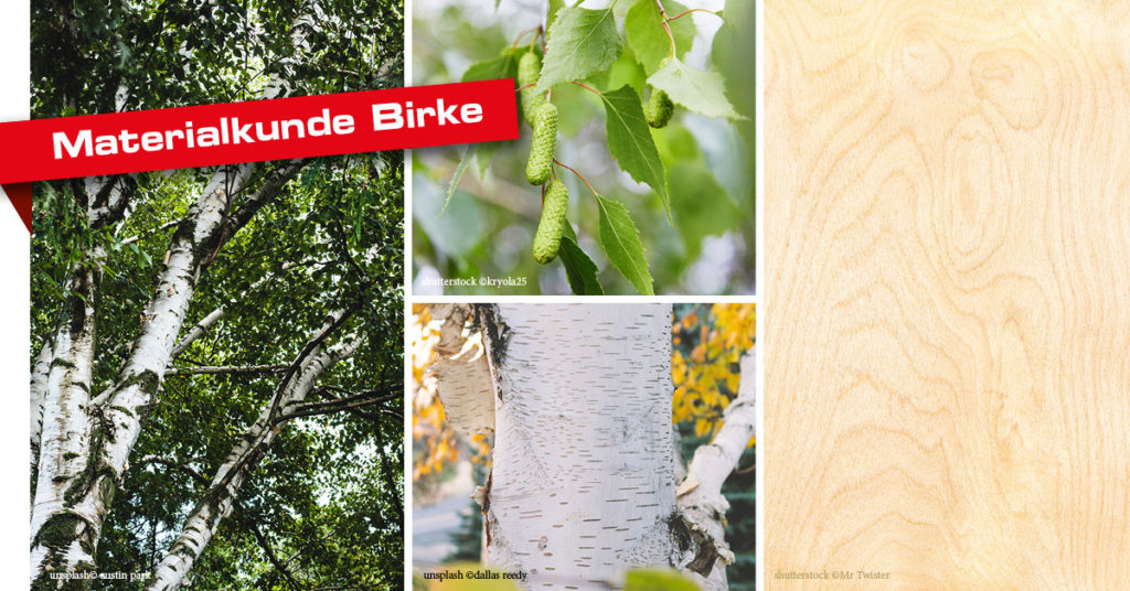 Birke Birkenholz Material Holz Faustmann
