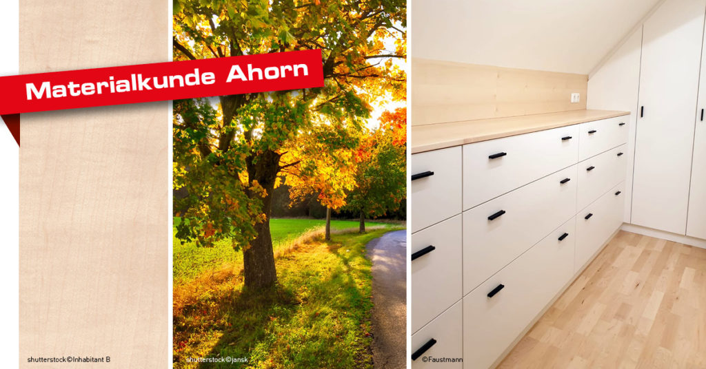 Material Ahorn Holz Faustmann
